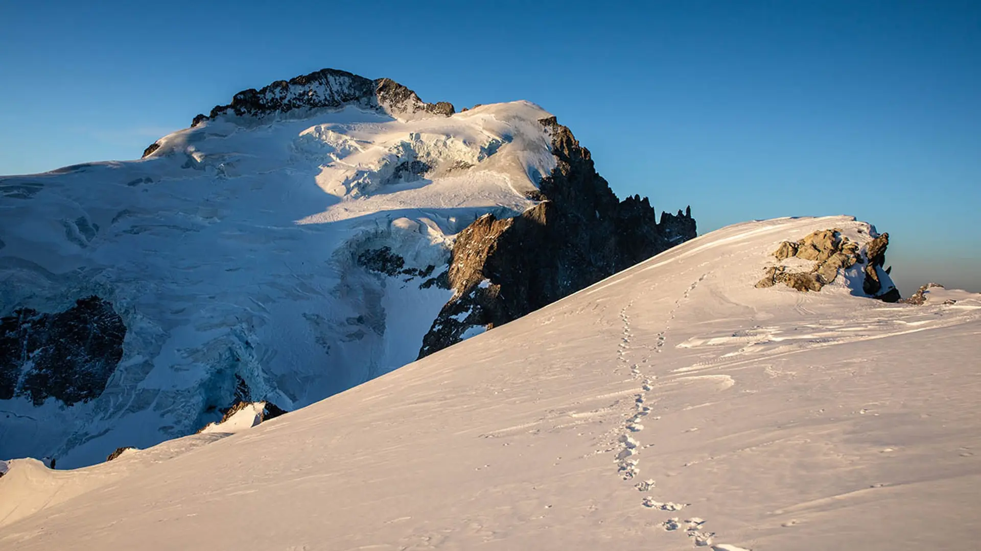 Barre des Écrins depuis Roche Faurio