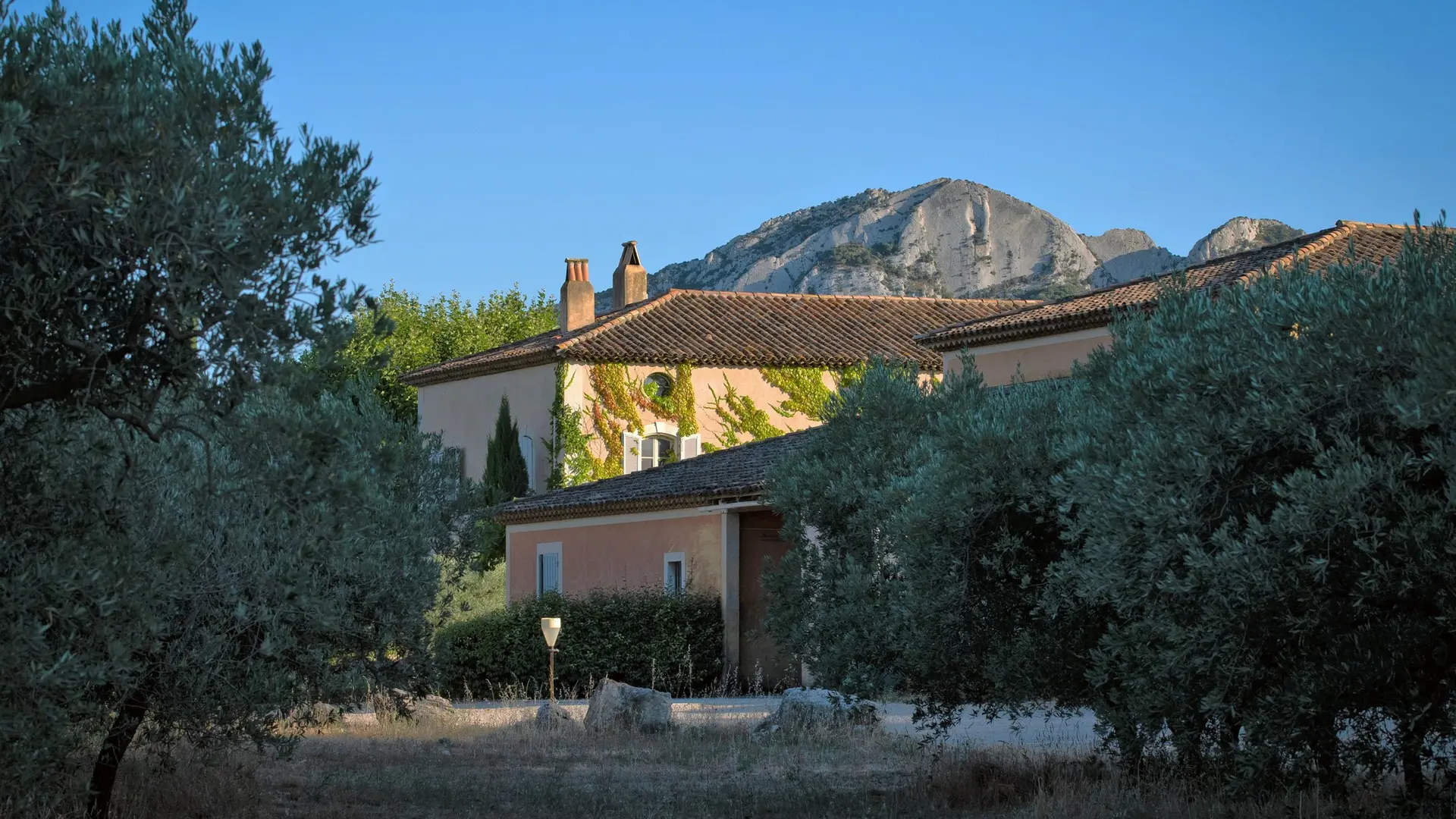 Domaine d'Eole, vignoble à Eygalières