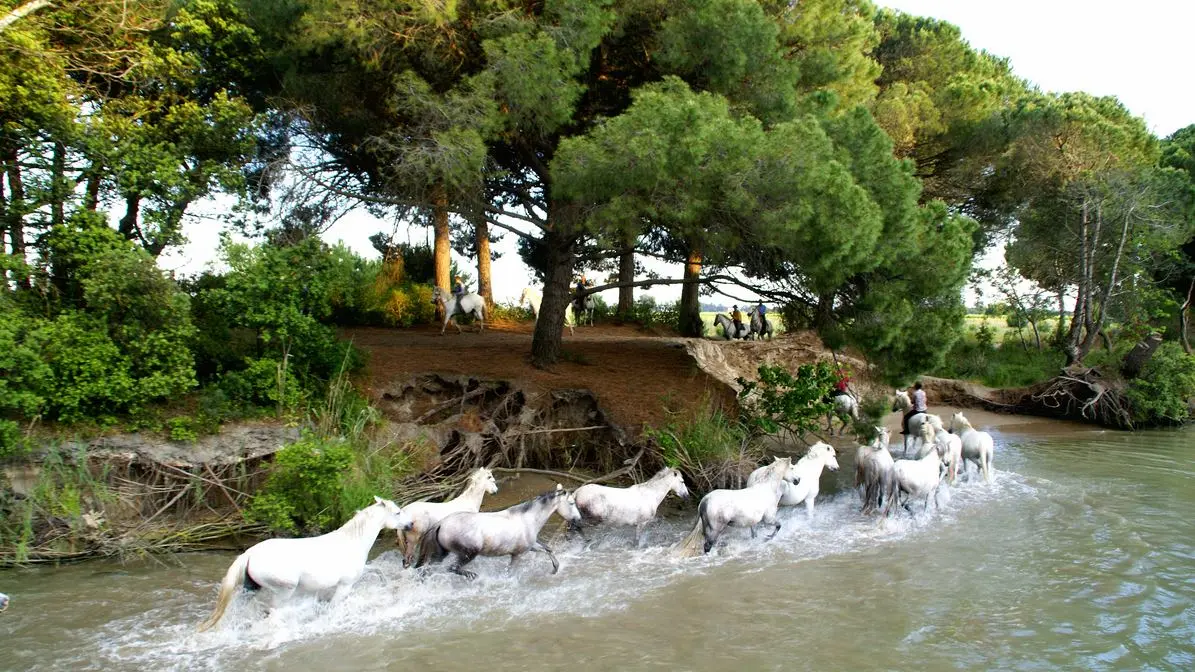 Gard Tourisme - ADRT