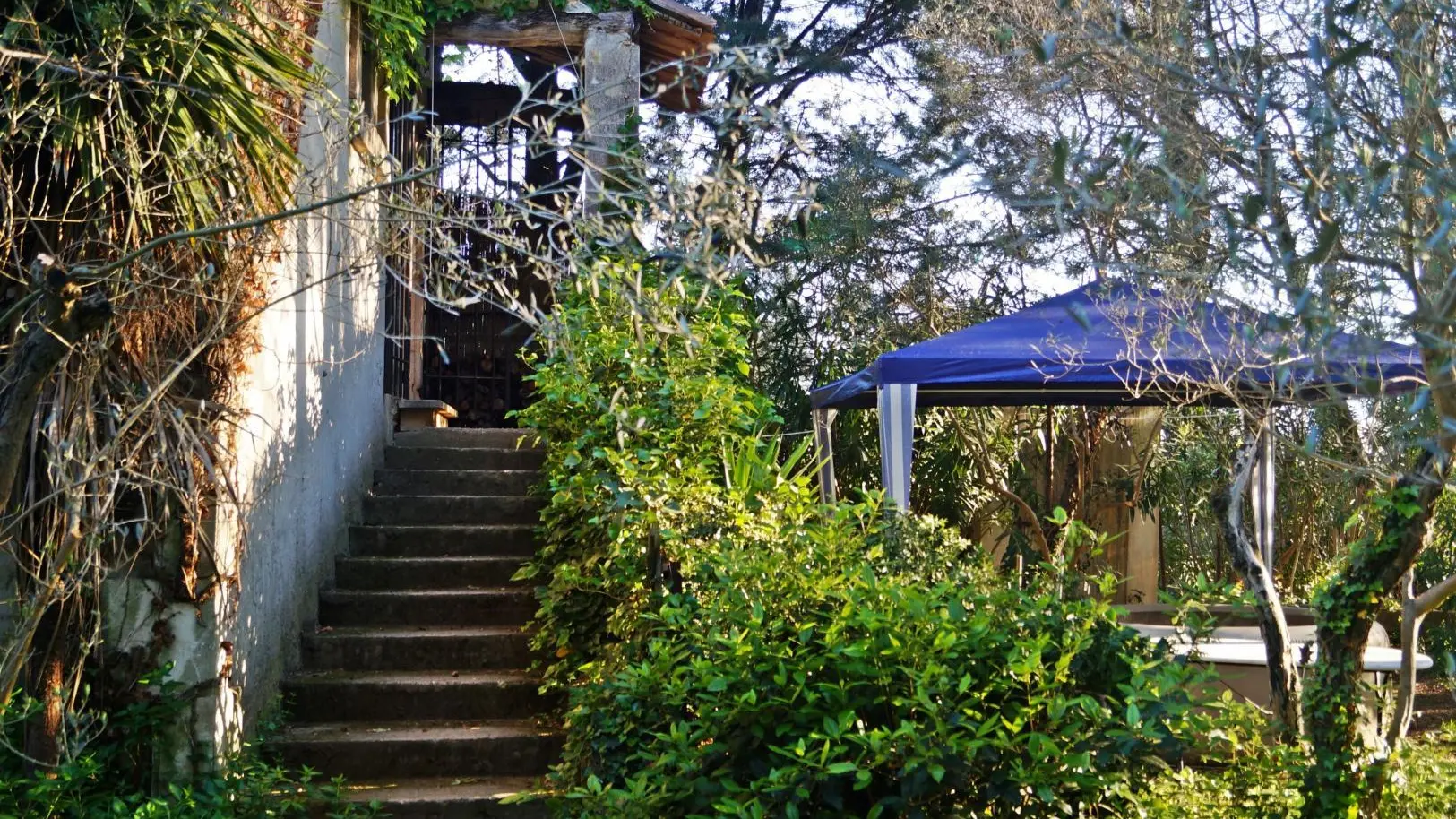 dans la jardin entrer marche logement