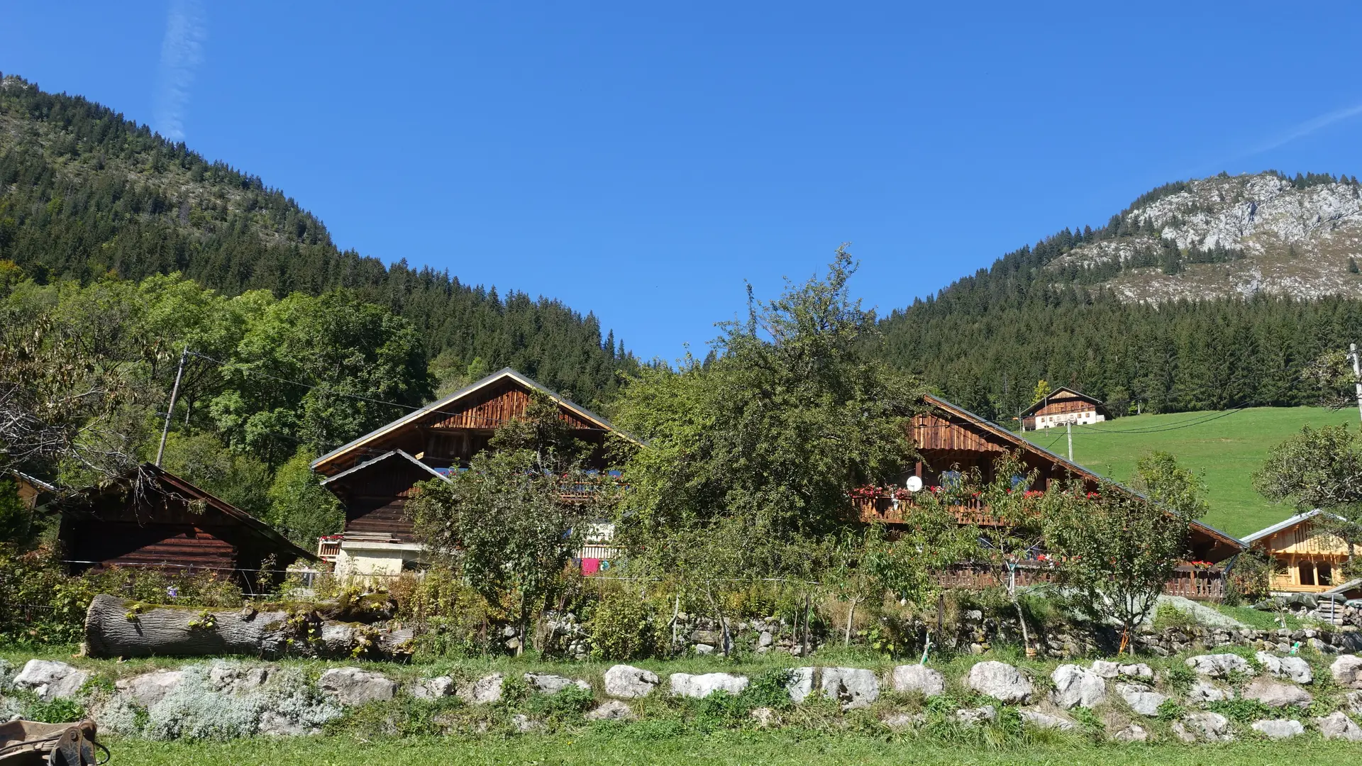 Traditional houses