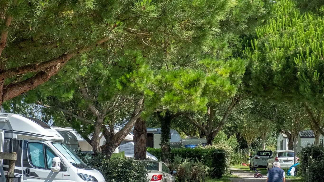 Allée des Pins - Emplacements au camping