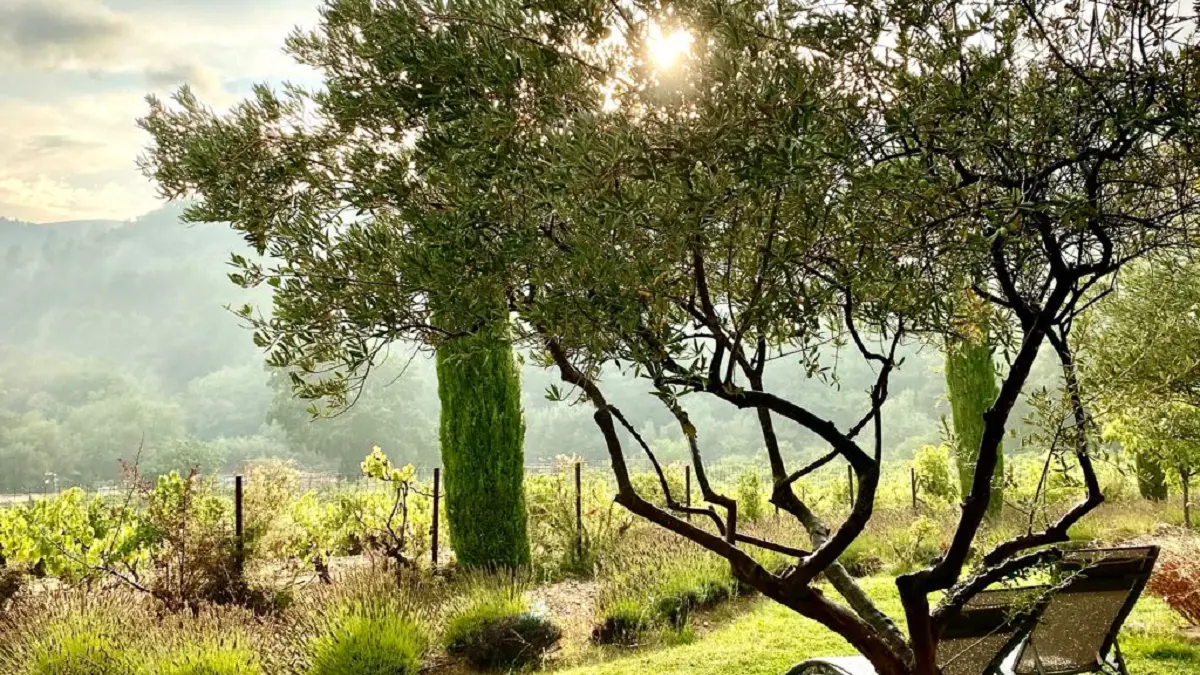 La vue sur les Dentelles