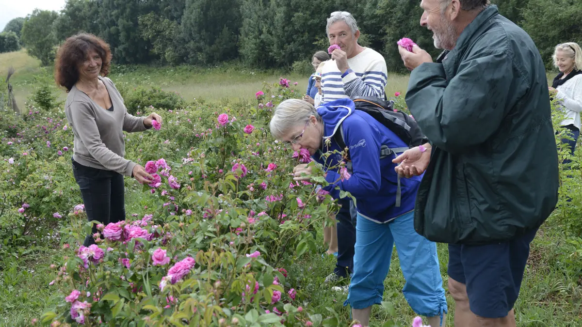 Visite des Jardins des Hautes Terres, Chaillol, Champsaur