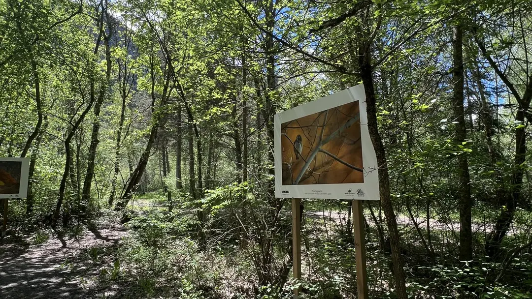 Exposition Grand Format