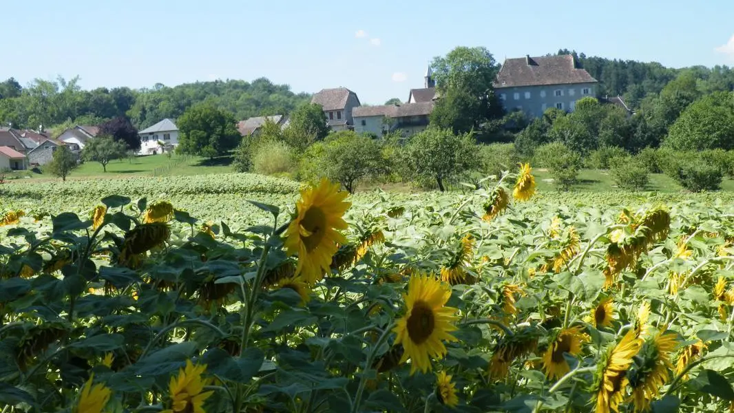 Vue sur le village de ST CHAMP