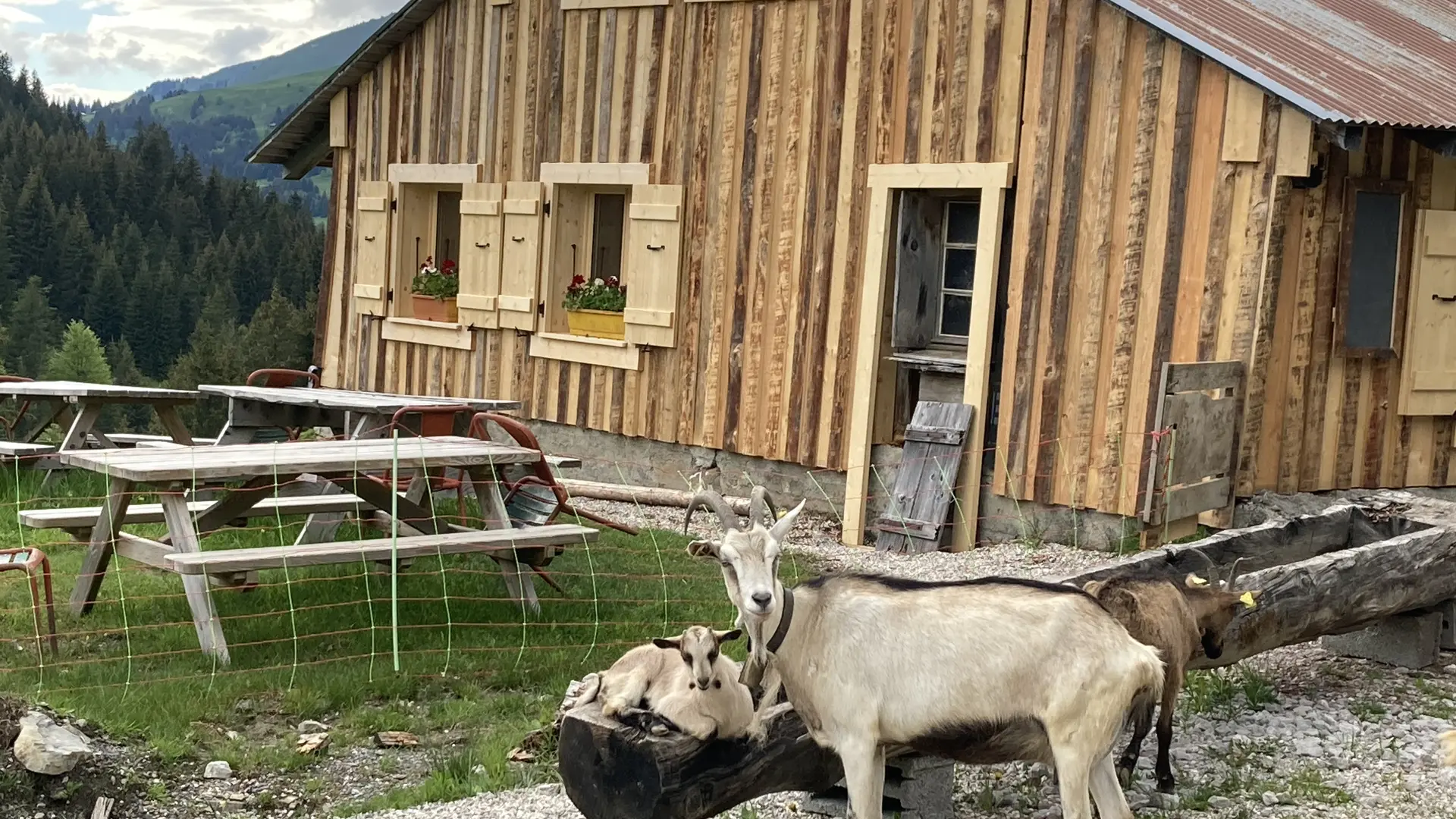 Ferme de Caroline