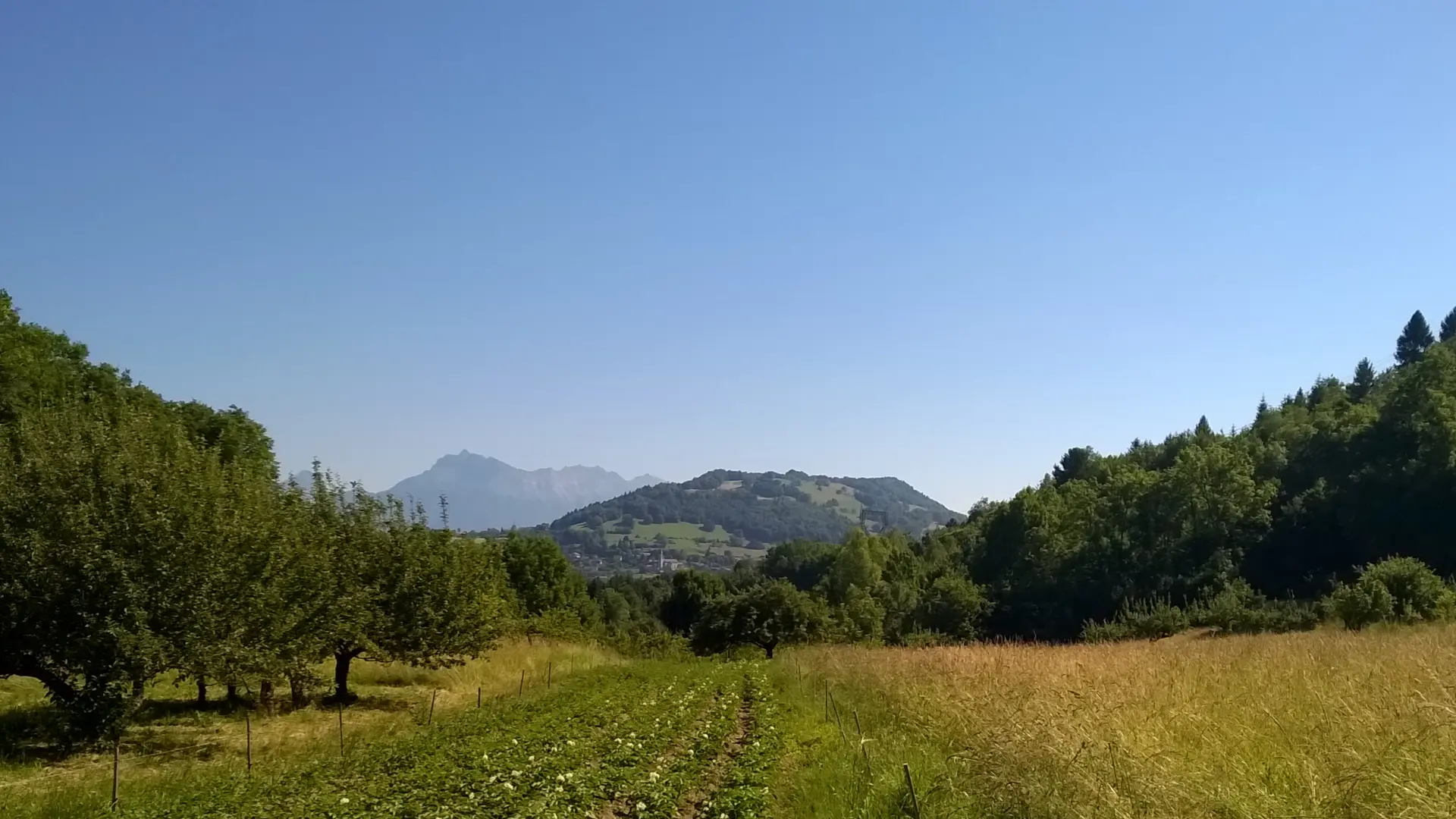 Le Crêt, point de vue