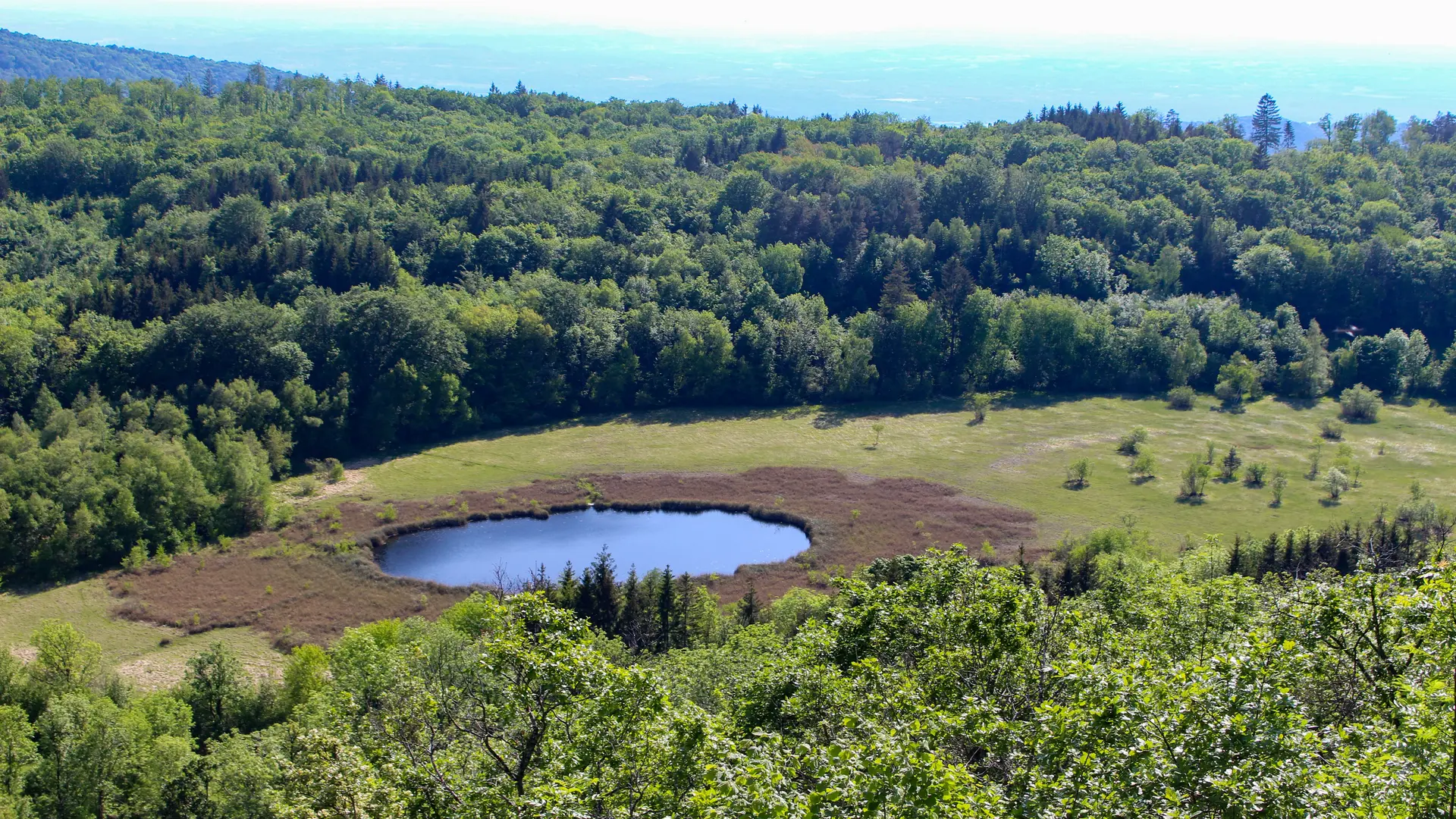 Tourbière de Cerin