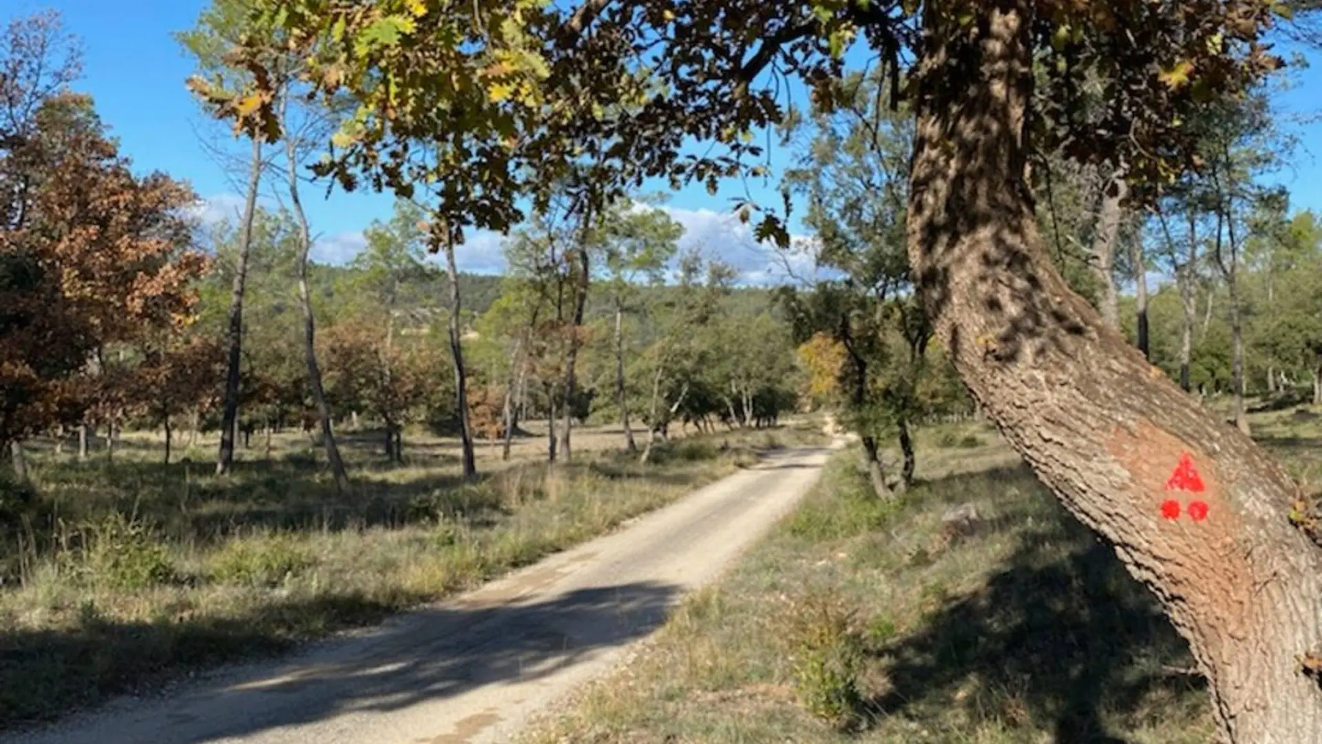 Sentier aux couleurs d'automne avec la trace du balisage rouge sur un chêne