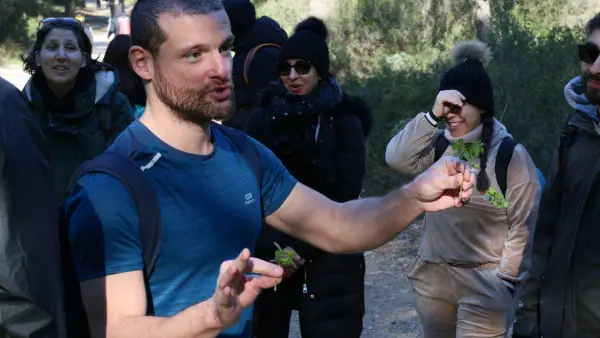 Naturopathic hike and poetry in Calanque of Sugiton (half-day)