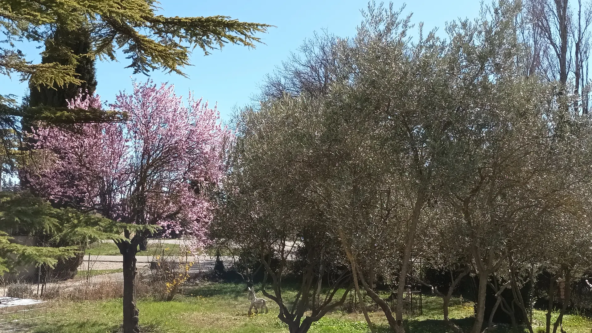 Les fermiers en herbe