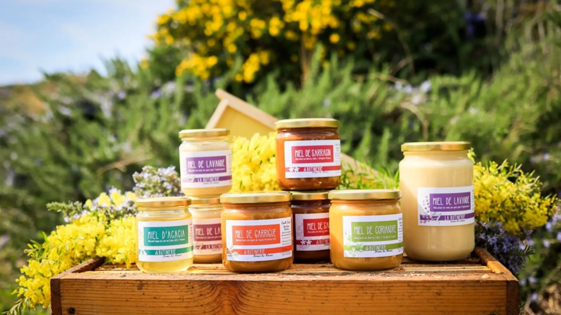 Terre d'Hyères producteurs locaux