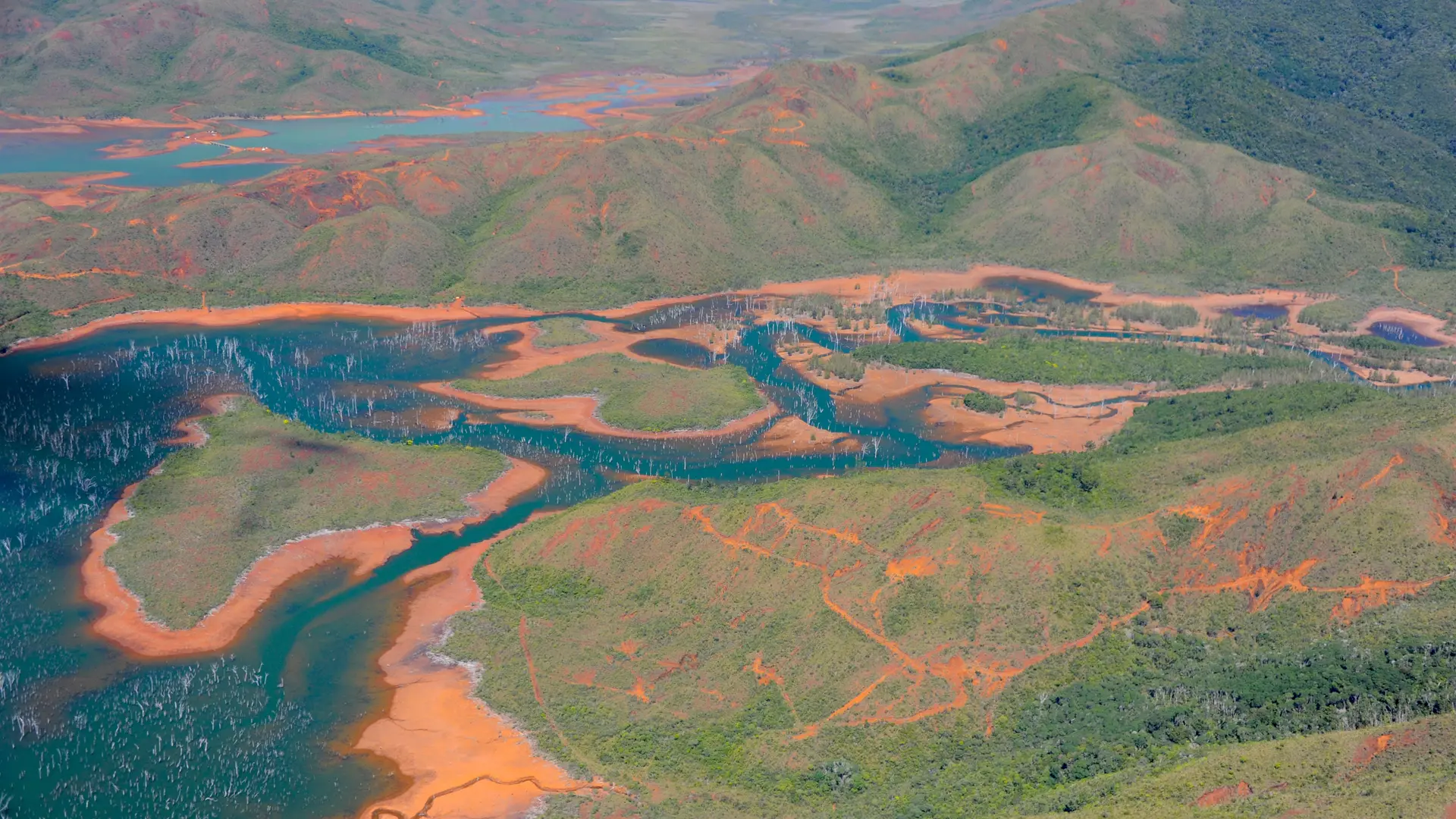 Vue aérienne de la forêt Noyée