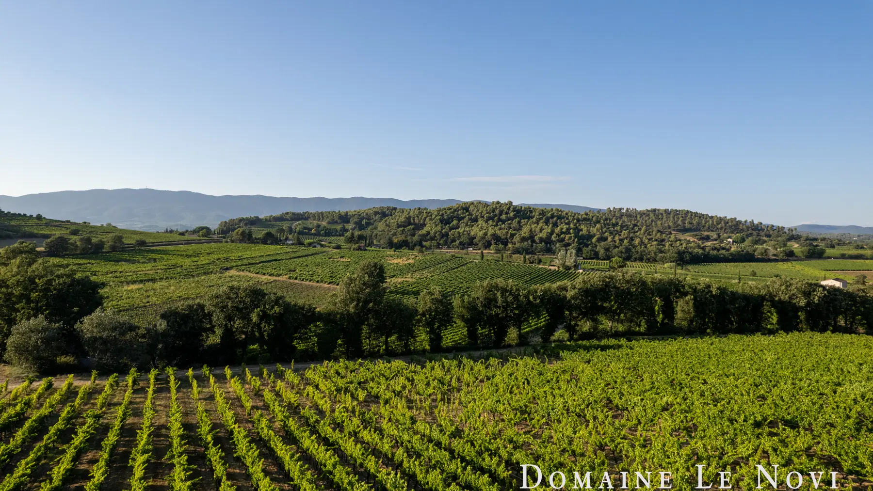 Domaine Le Novi