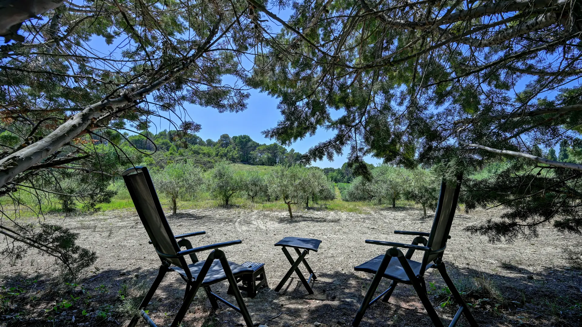 Emplacement de camping