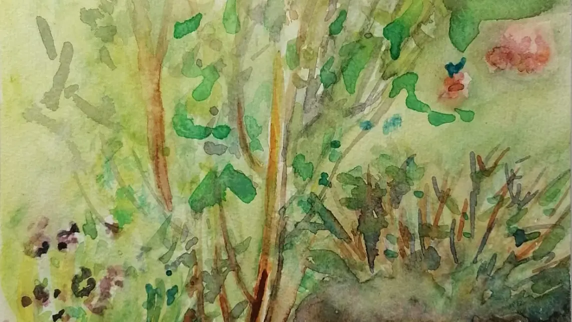 I vasi del balcone - aquarelle