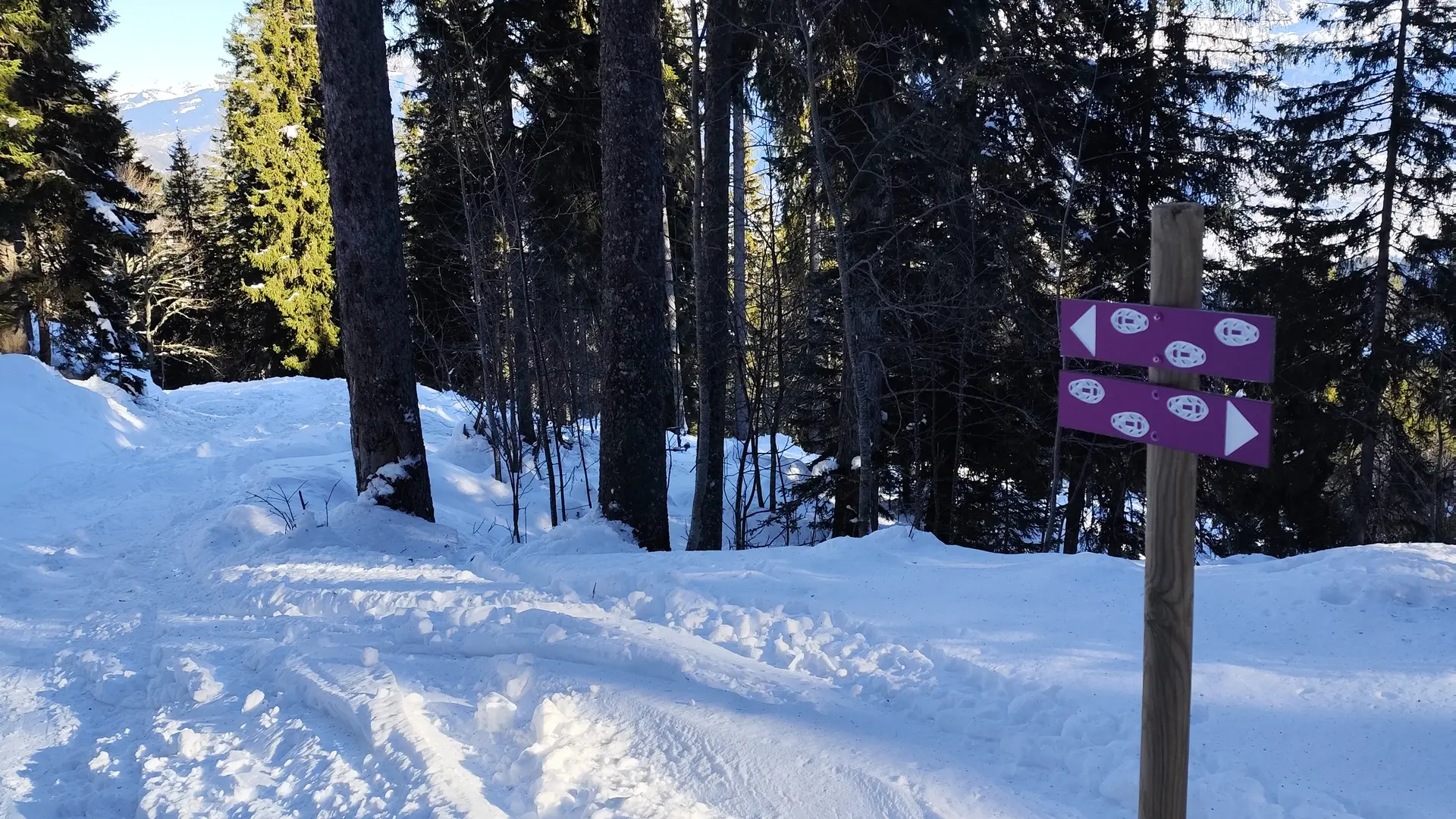 Avenaz loop snowshoe trail
