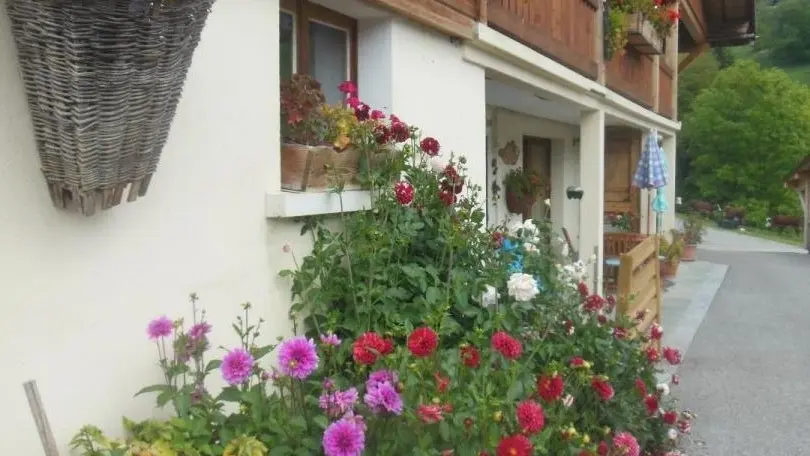 Des fleurs pour vous accueillir !