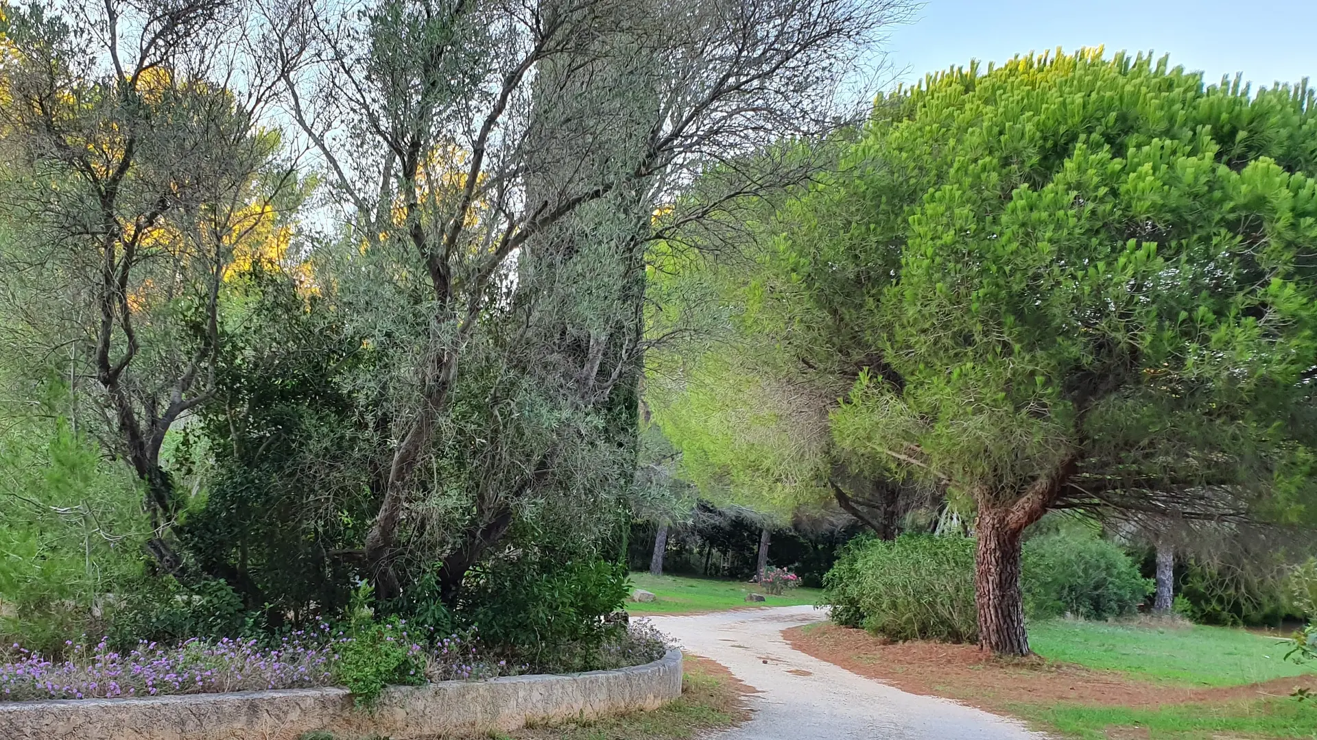 Camping La Pinède Six Fours les Plages