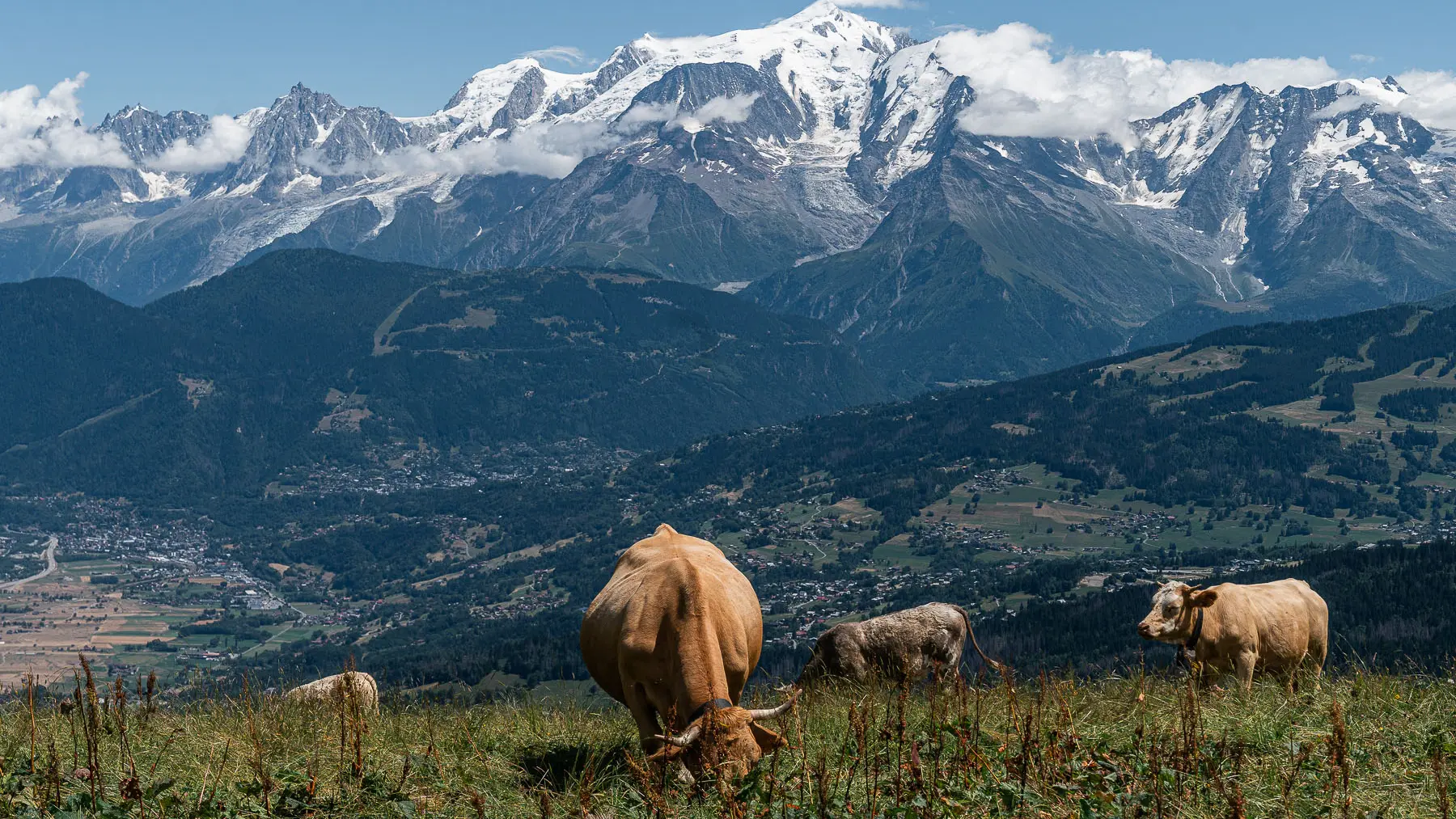 Vue depuis le plateau