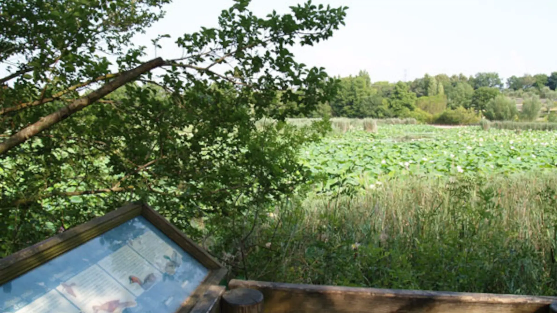 Etang de Fontmerle Mougins