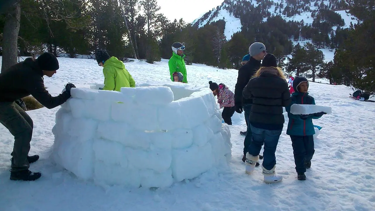 construction Igloo