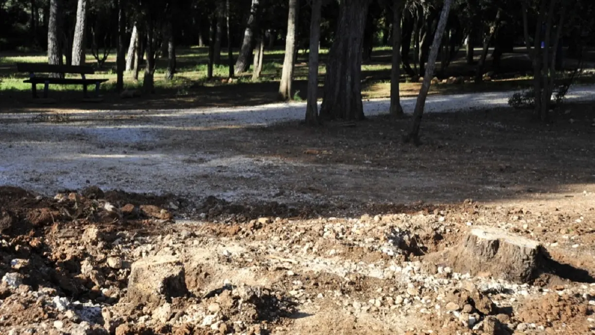 Parcours santé et sportif