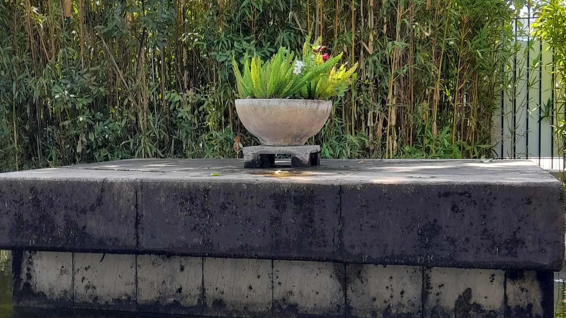 Jardin Pagès_La Farlède
