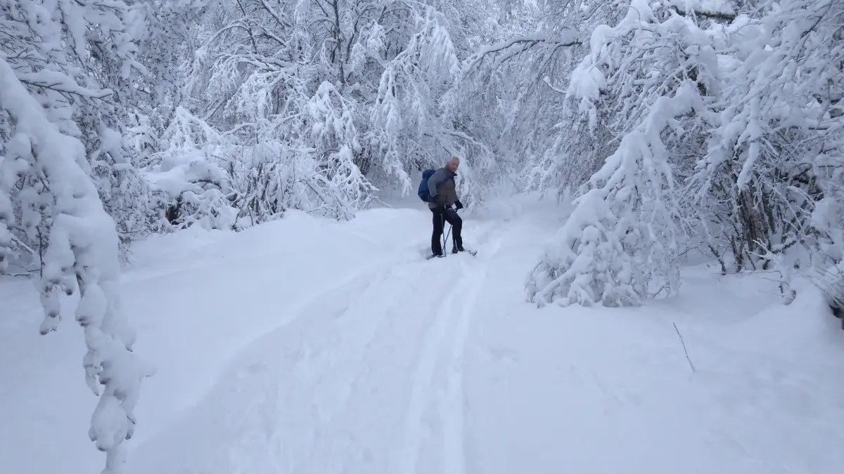 Gite d'Appolline paysage de neige