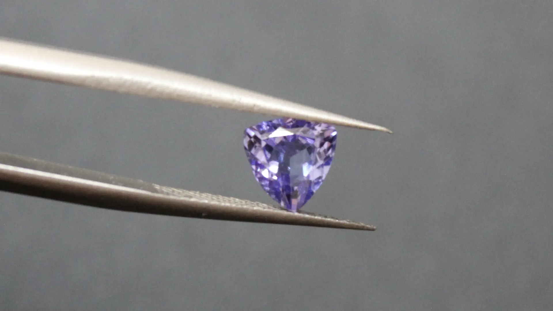 Maison Trillion_Bandol