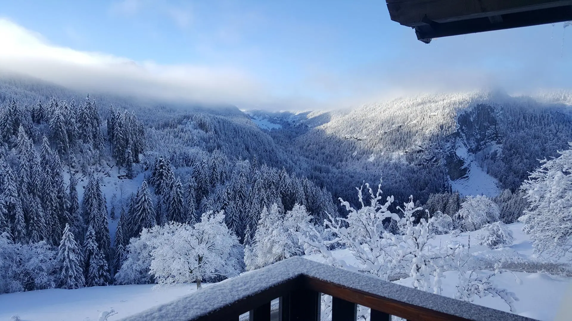 Vue depuis le balcon