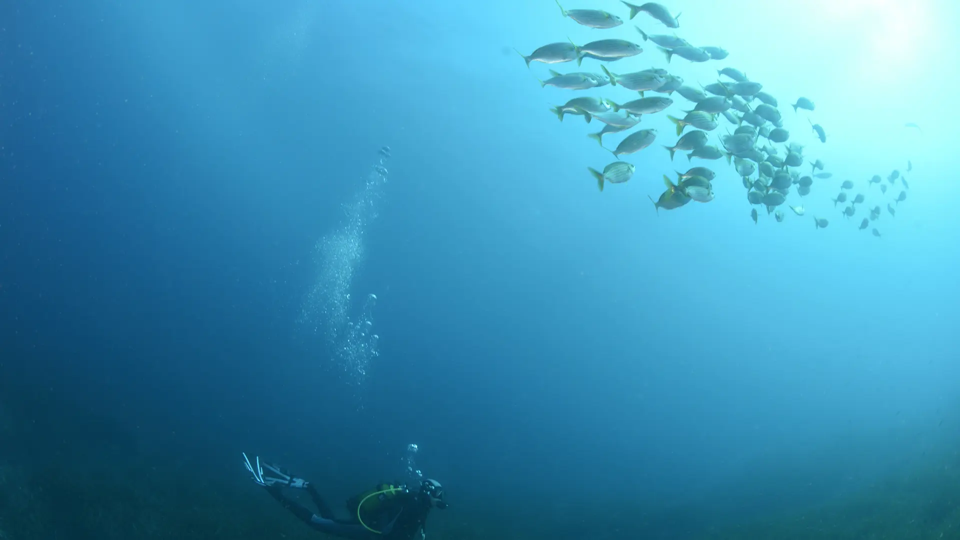 Centre de plongée Cap Plongée Six Fours