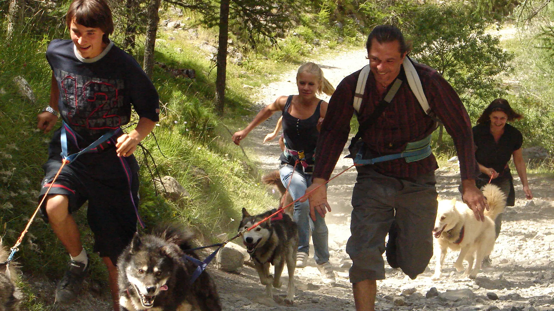 cani rando balade avec chien