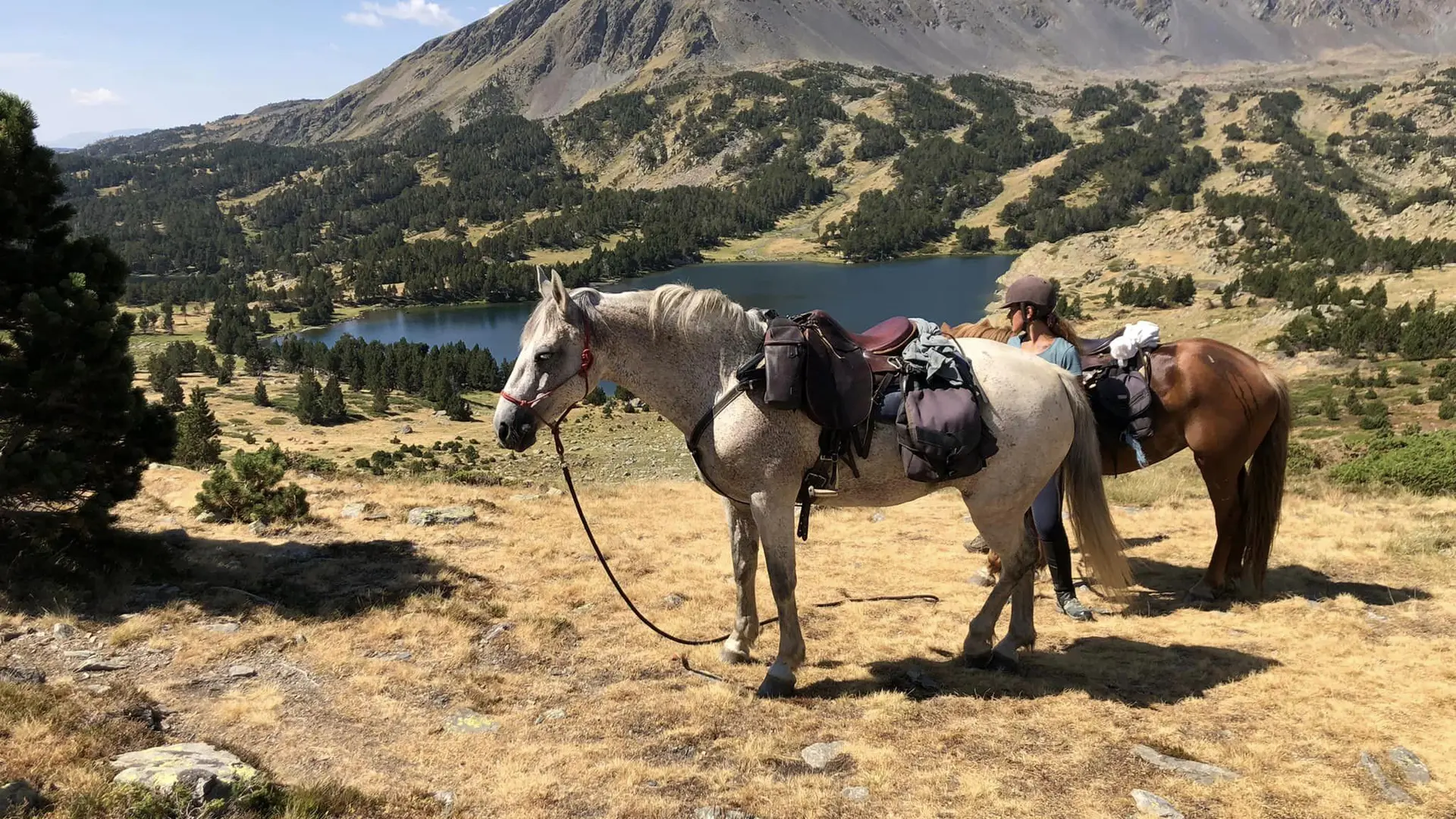 randonnée en montagne