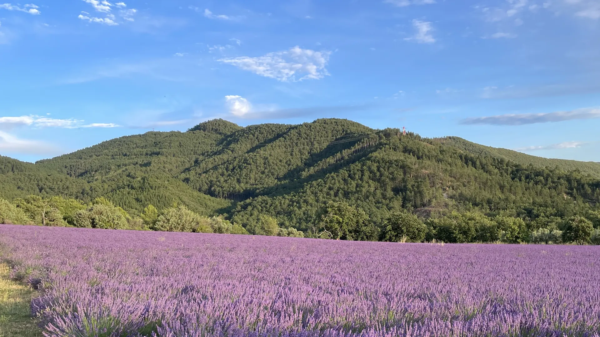 Trail n°1 - Chabanas