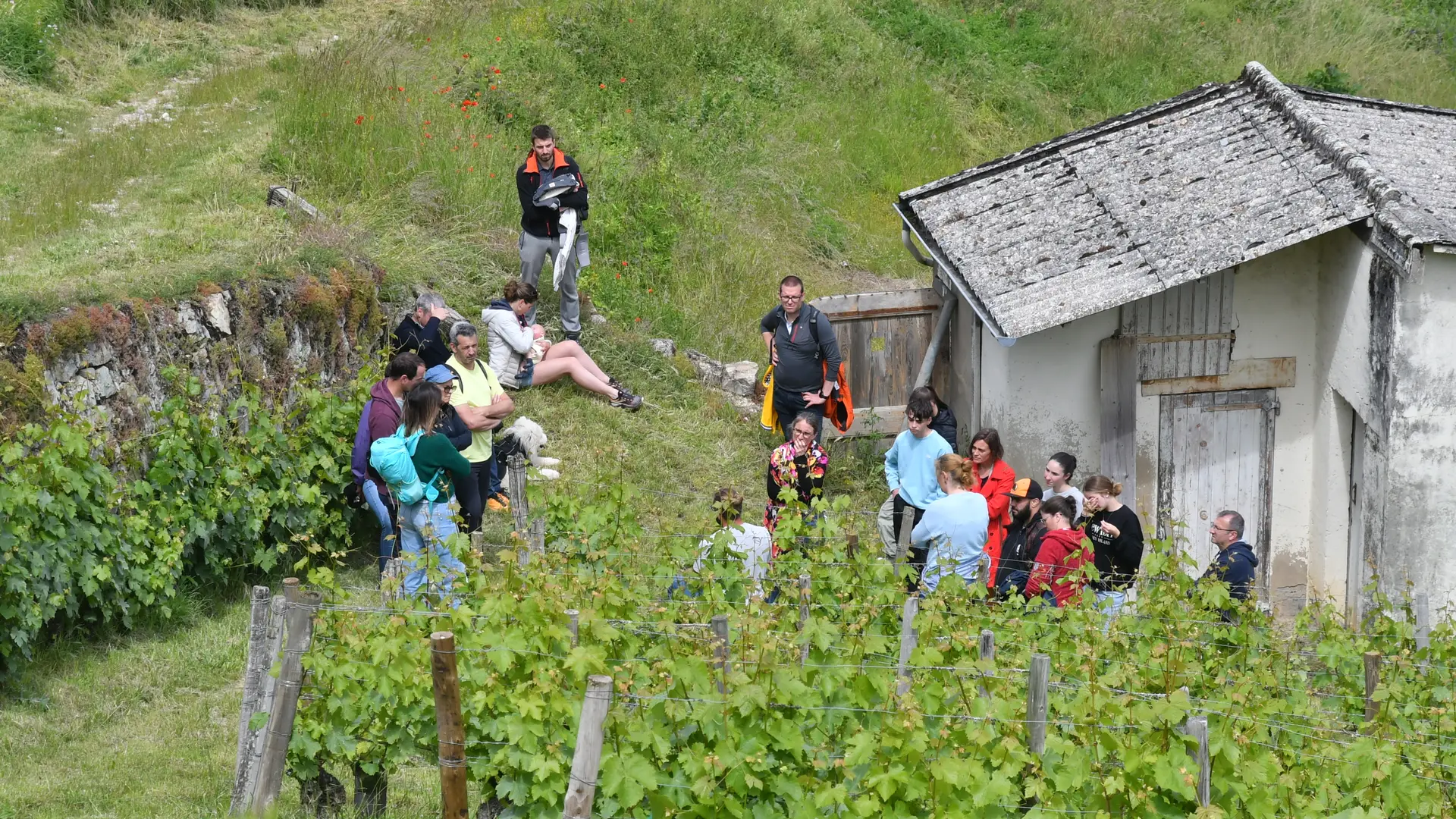 Visite du domaine