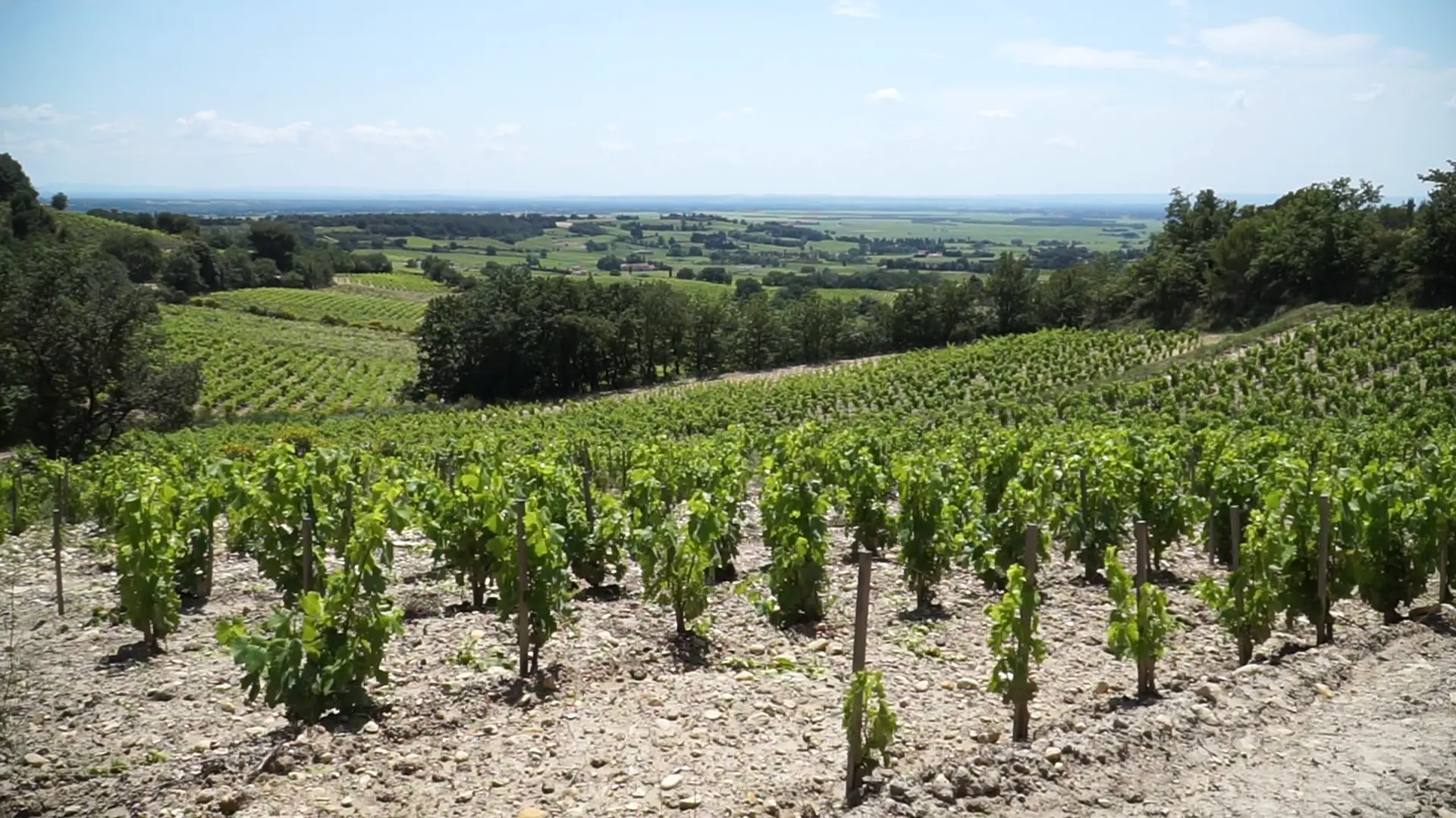 Vue de nos parcelles à Saint Didier