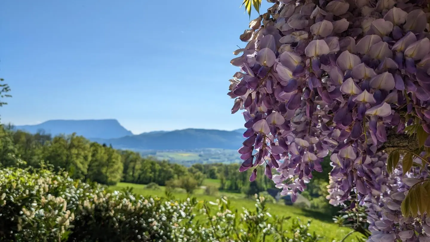 Vue du gîte sur la vallée