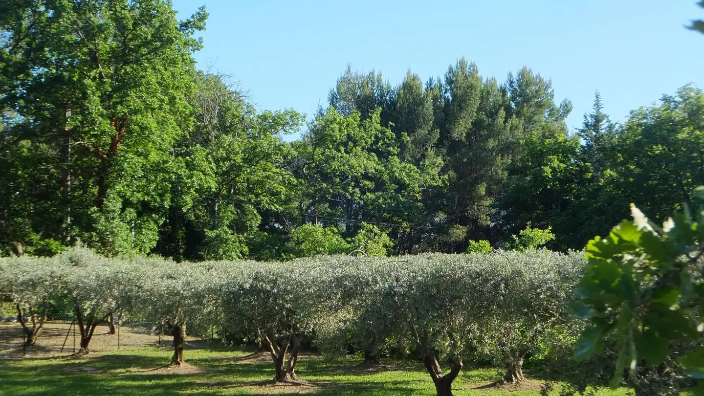 regard de la terrasse de l'Eden