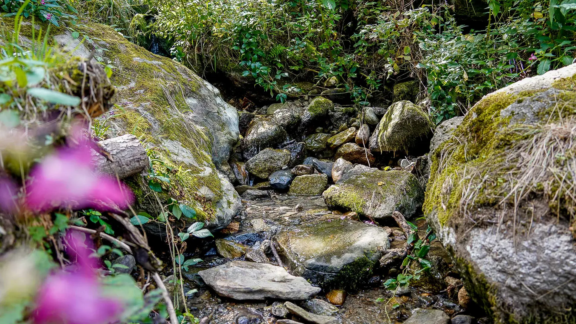 petit ruisseau