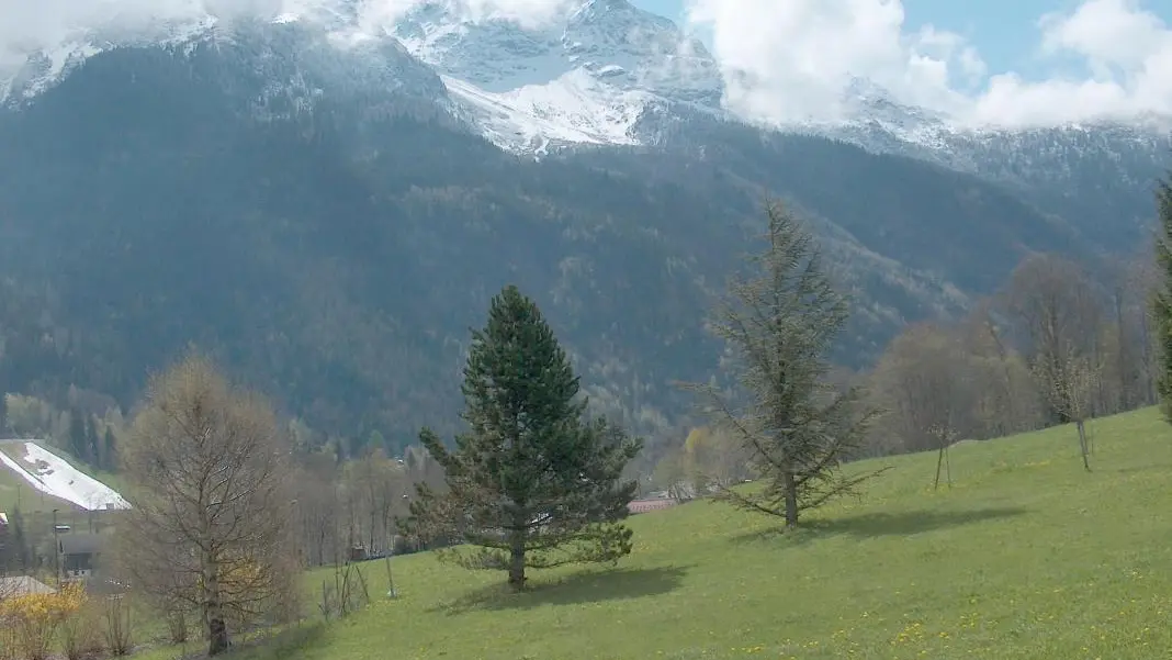 Vue depuis la terrasse