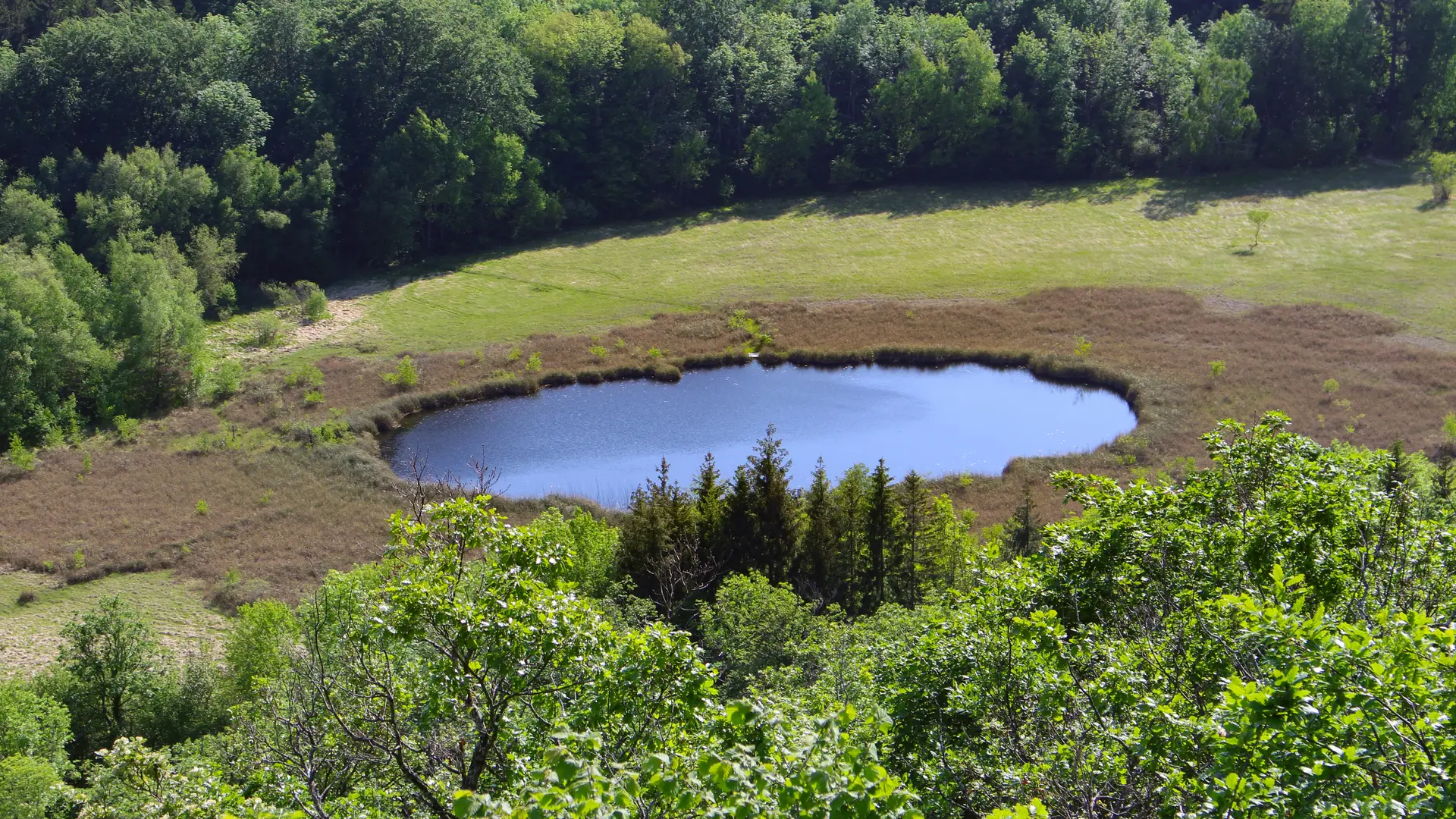 Tourbière de Cerin