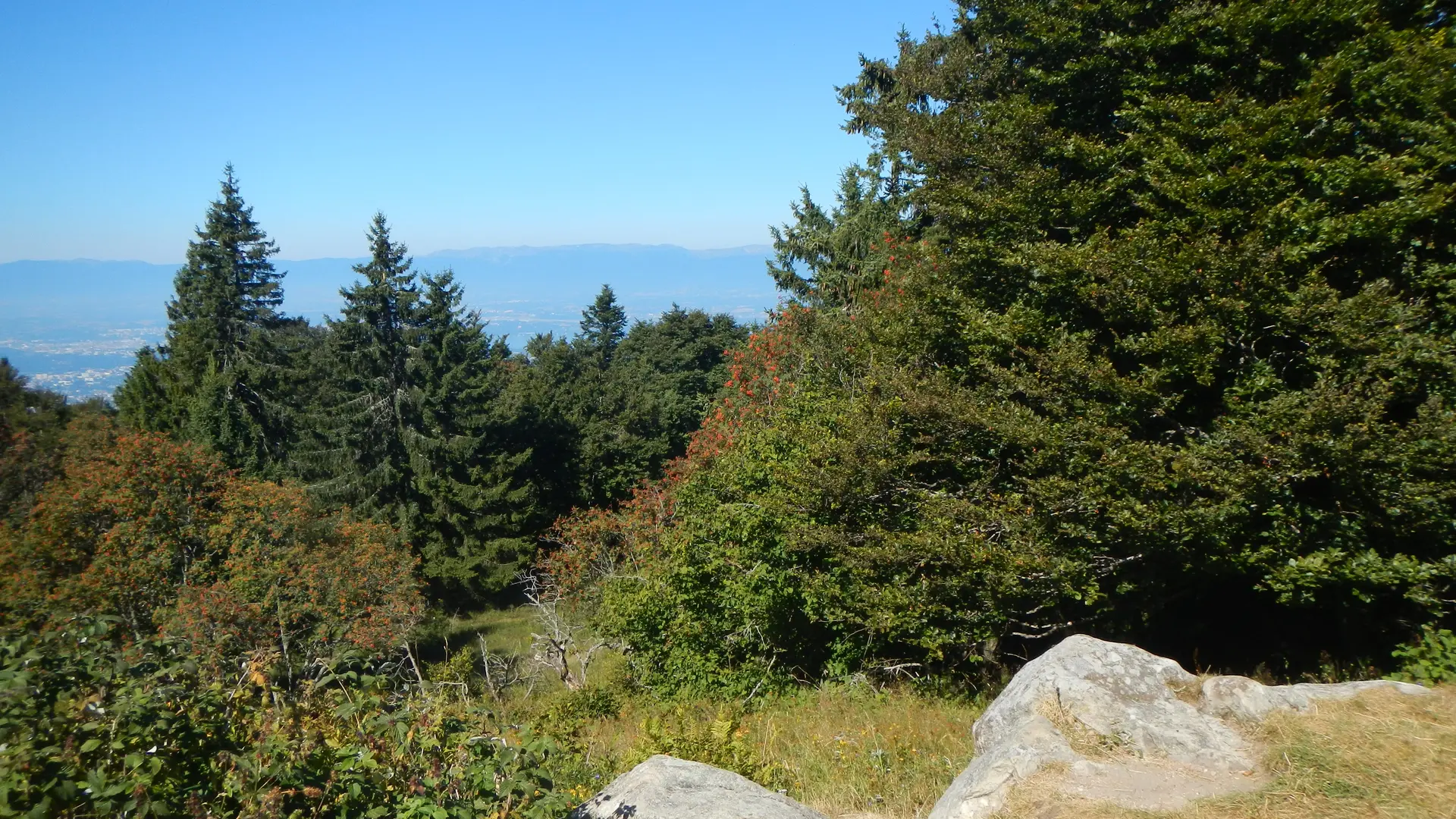 Vue depuis Pointe de Brantaz côté Léman