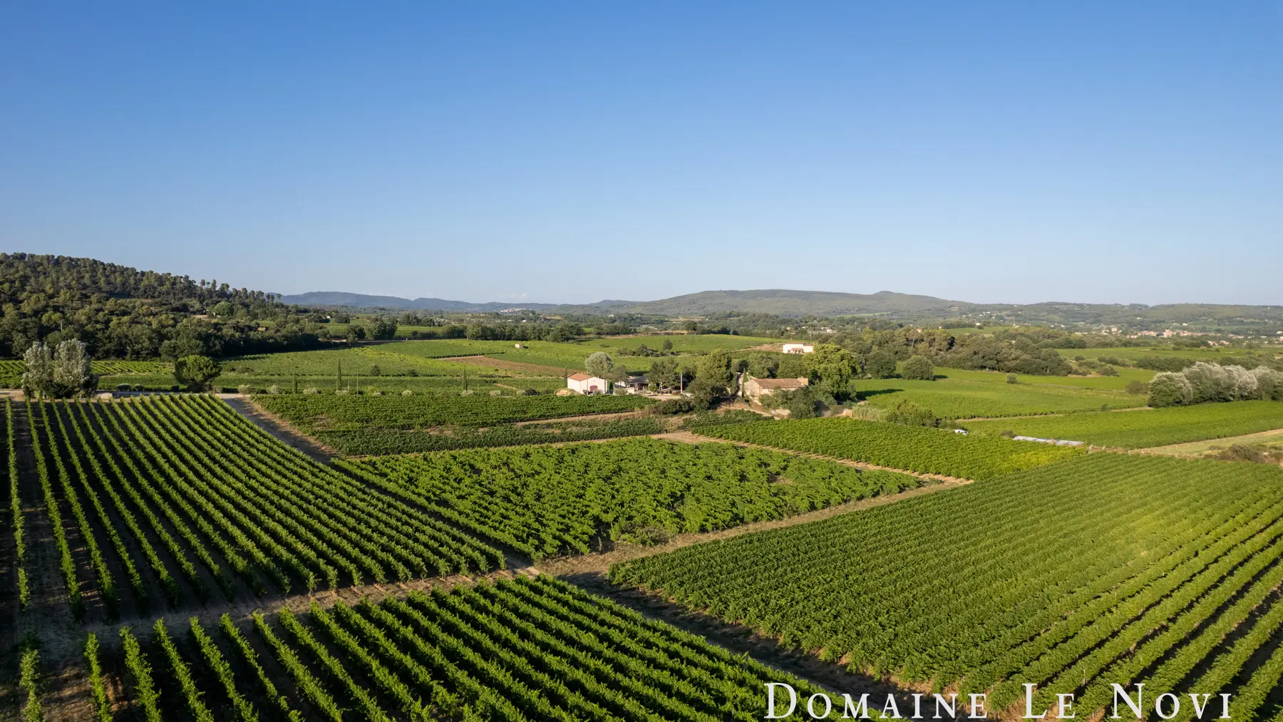 Domaine Le Novi