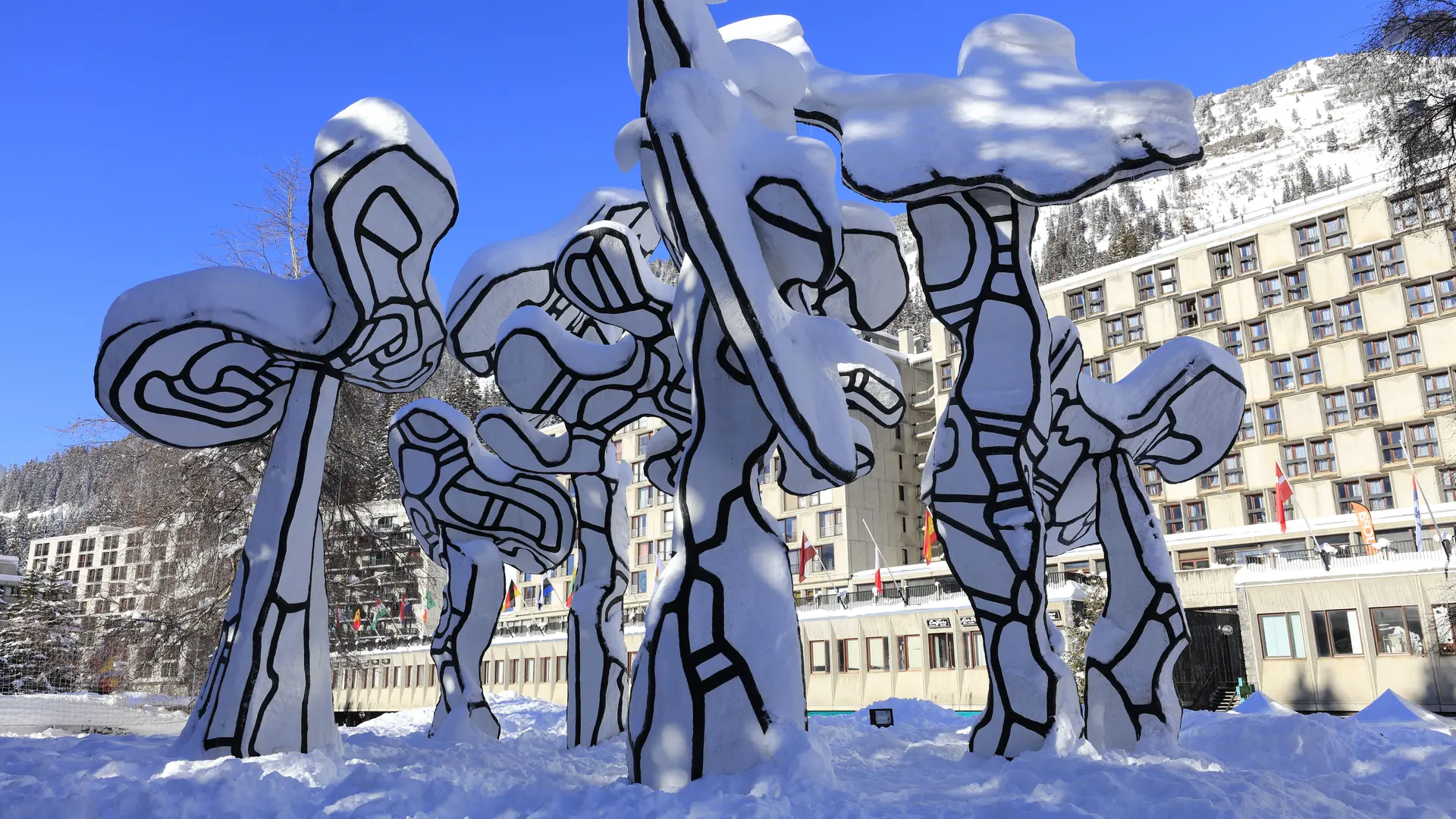 Le Boqueteau sous la neige