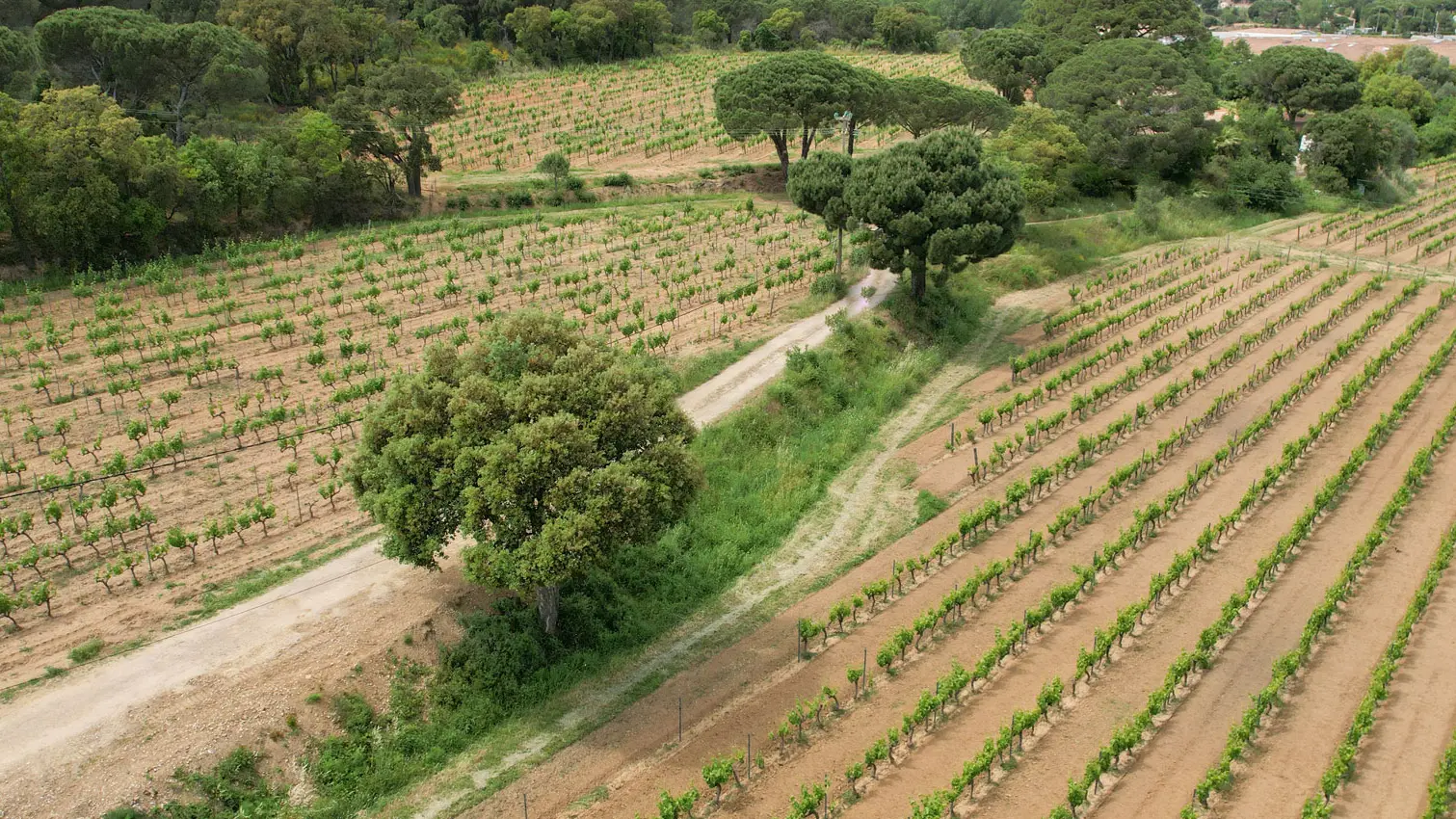 Le Clos de Ste Maxime 3