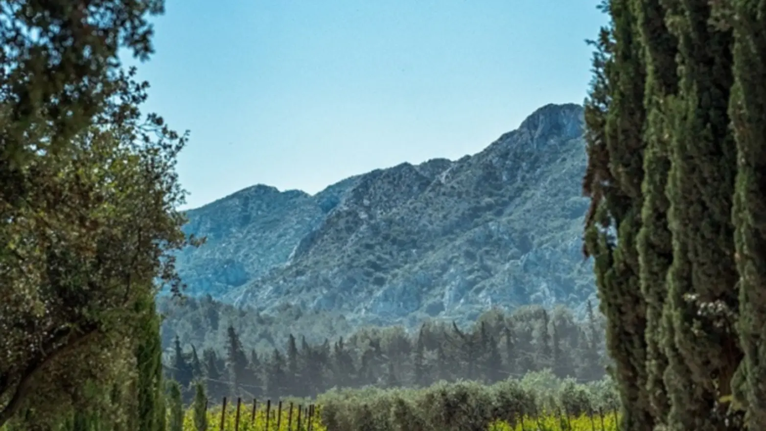 Weingut Domaine d'Eole in Eygalières Landschaft