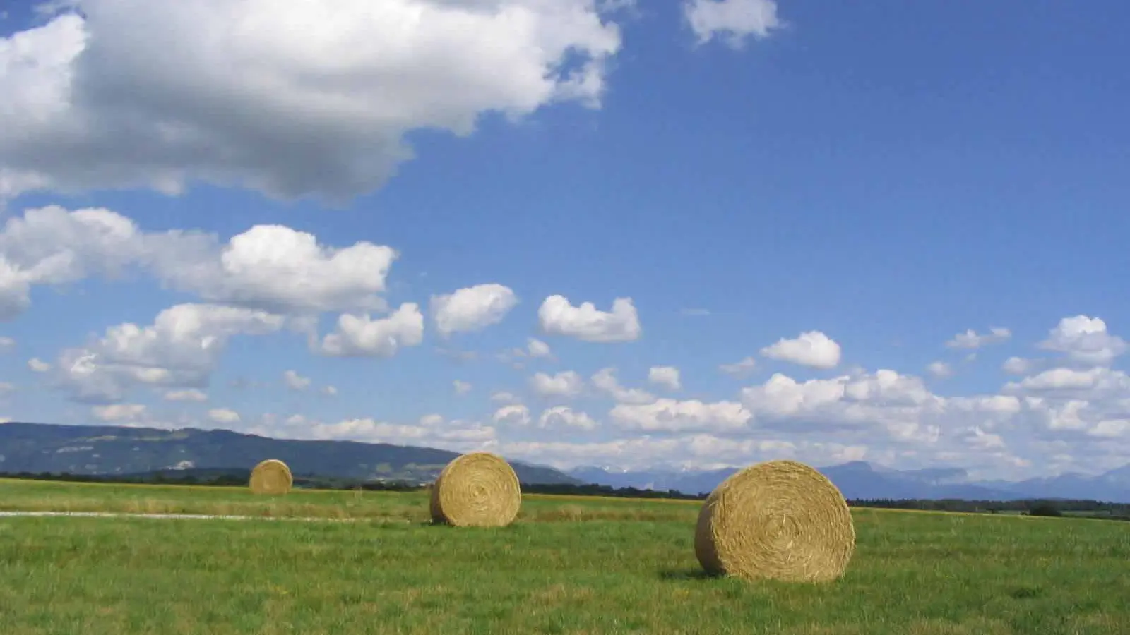 paysage et récoltes