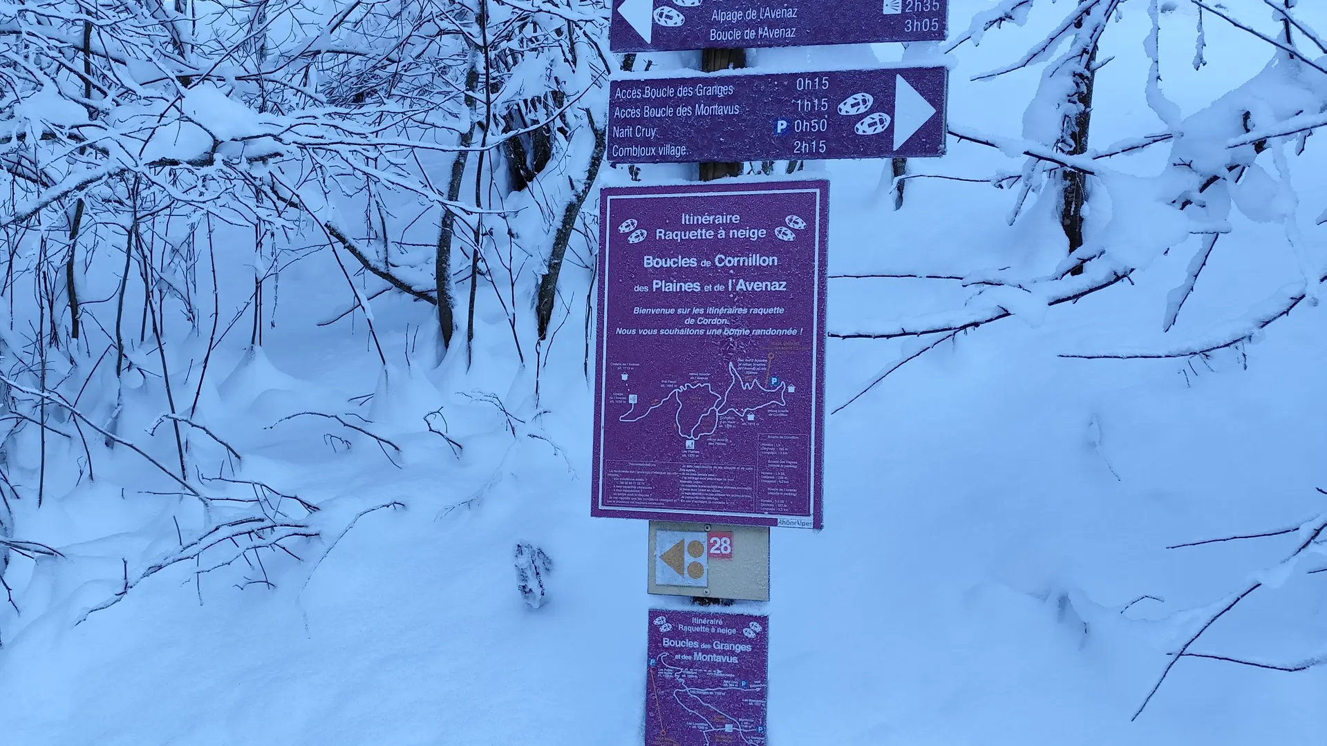 Snowshoe signs depart from the Lezaive d'en Haut/Cornillon parking lot